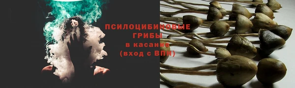 не бодяженный Бронницы