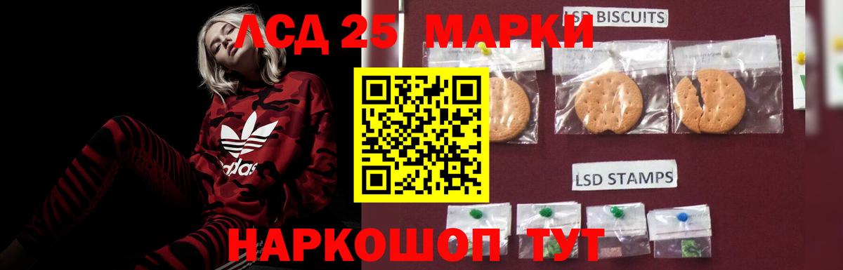 Метадон Елизово