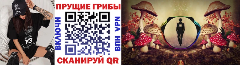 где купить наркоту  Елизово  Галлюциногенные грибы GOLDEN TEACHER 