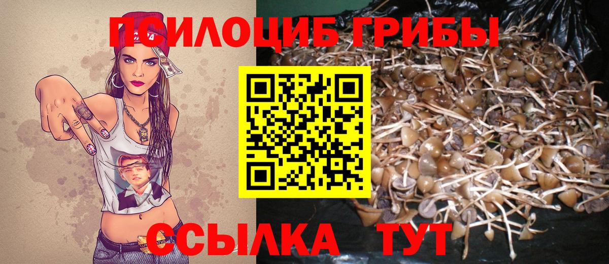 Галлюциногенные грибы прущие грибы Елизово