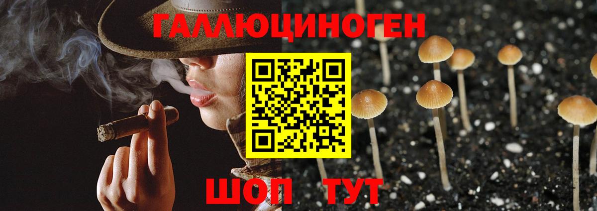 Псилоцибиновые грибы мицелий  Псилоцибиновые грибы мухоморы  Вход с VPN  Елизово 